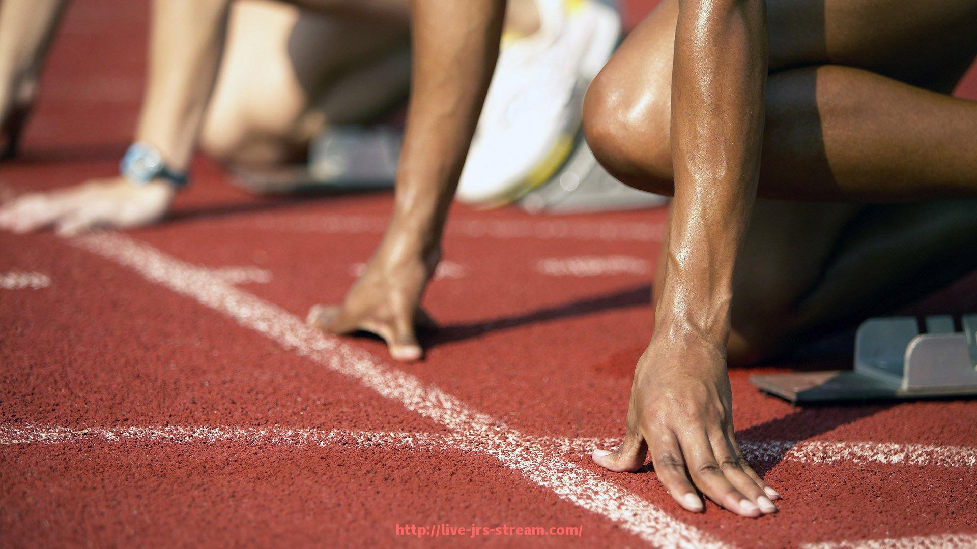 jrs直播-海南健身器材专卖店的选购指南与推荐